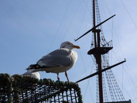 A seagull perched on a fishing trap with a ship in the background at Bishop's Cottage in Whitby