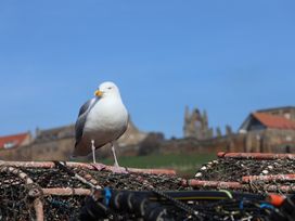 A seagull standing on fishing nets with buildings in the background at Bishop's Cottage in Whitby
