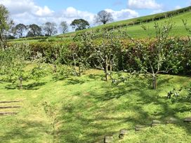 A garden with apple trees and a grassy area at The Peacock Shepherds Hut at Hafoty Boeth, Corwen