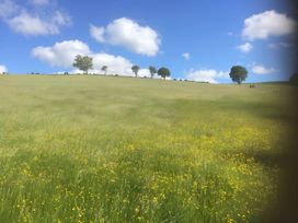 A grassy field with yellow flowers and trees at Converted Stone Barn -20 Acres - Farm Animals! Corwen