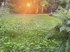 A garden with grass and ferns at Dobbin the horse box in The Lake District Cockermouth