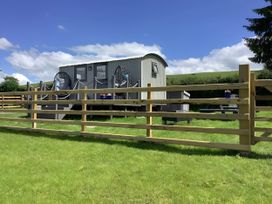 A hut with deck and chairs at The Shepherds Hut at Hafoty Boeth in Corwen