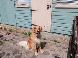 A dog sitting near a house door at Ruby’s Den Ashton Keynes