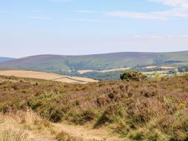 A scenic view of hills and heathland at Hedgehogs Lodge in South Molton