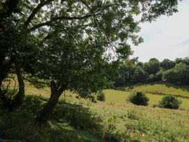 A landscape with trees and hills at Valley View Shepherd's Hut in South Molton