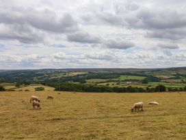 A landscape with sheep grazing in a field near hills at Wren's Nest in Lealholm