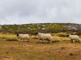 A group of sheep grazing on a hillside at Wren's Nest in Lealholm