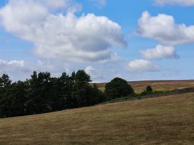A landscape with trees and a hill at Swallow Cottage in Lealholm