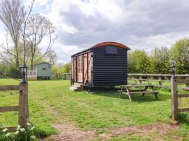 An outdoor area with a black shepherd's hut and green shed at The Damselfly