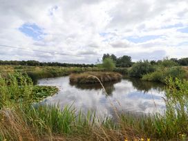 A pond with grass and trees at The Damselfly in 