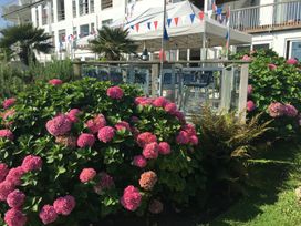 A garden with flowers and a tent at 24 The Salcombe in Salcombe