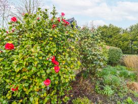 A garden with blooming shrubs and flowers at Linden Lea Field Broughton near Cartmel