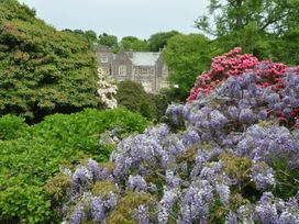 A garden with various flowers and a building at Lukesland Wing near Ivybridge