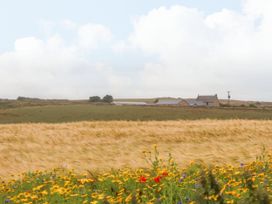 A field with flowers and a farmhouse at Ninevah St. Ives
