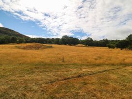 A field with dry grass and trees at Little Oak near Tal-Y-Bont