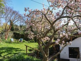 A garden with a magnolia tree and chairs at Upper Frogpool Cottage in Crediton