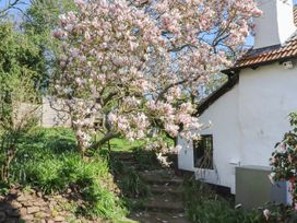 A magnolia tree near a cottage in the garden at Upper Frogpool Cottage Crediton