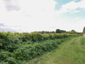 A pathway alongside hedges and bushes in an outdoor area at Hazel