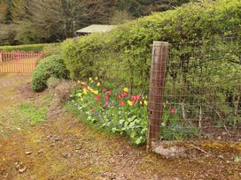 A garden with flowers and a wooden fence at Turraheen in Cashel