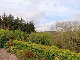 A garden view featuring trees and hedges at Artist’s Cottage Cashel, County Tipperary