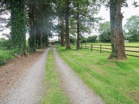 A gravel driveway bordered by trees at Childwall Cottage TULLOGHER