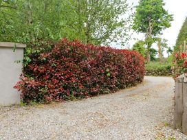 Hedge and gravel driveway with trees at The Mews @ Derrybawn Laragh, County Wicklow