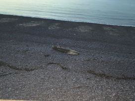 A view of driftwood on a pebbly beach with water in the background at Hoburne Blue Anchor - Holiday Accommodation 307, Minehead