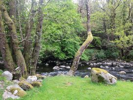 A river with trees and rocks at The Mews @ Suskar, Laragh, County Wicklow