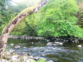 A river with rocks and trees at The Mews @ Suskar, Laragh, County Wicklow