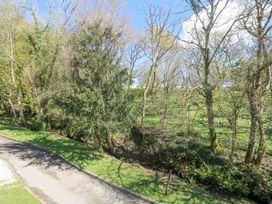 An outdoor view of trees and grass at Honeycombe Lodge