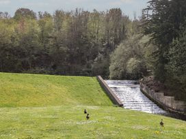 A river flowing over a dam with ducks on the grass at Longfords Mill near Nailsworth