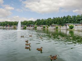 A scene with ducks and cabins near a fountain at Laurel Waterside Spa Carlton Miniott near Thirsk