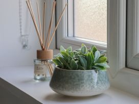 A plant in a pot and a reed diffuser on a windowsill at Helmsley Cottage in Helmsley