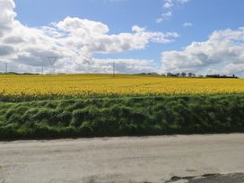 A field of yellow flowers with power lines in the background at Marie's Country Home, Ardee, County Louth