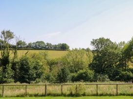A view of trees and a field under a clear sky at Fieldstone Barn in North Tawton