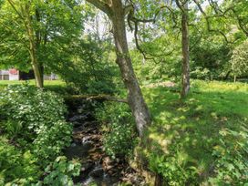 A stream flowing through trees beside grassy area at Daffodil Cottage Blaencwm near Treorchy