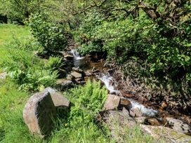 A stream flowing between rocks surrounded by ferns and trees at Daffodil Cottage Blaencwm near Treorchy