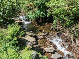 A stream with rocks and ferns at Daffodil Cottage Blaencwm near Treorchy