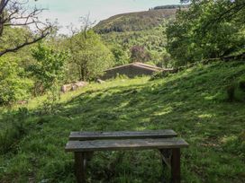 A garden scene with a bench and shed in Daffodil Cottage near Blaencwm