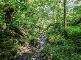 A stream flowing through a wooded area at Daffodil Cottage in Blaencwm near Treorchy