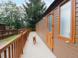 A dog on a wooden deck at Fox Red Retreat in Troutbeck Bridge