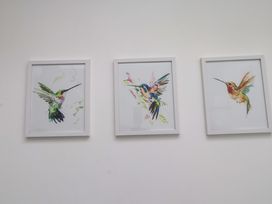 Three framed artworks of hummingbirds at 2 Bryn Eglwys Prenteg