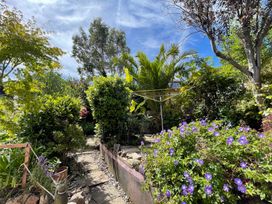 A garden with a path and flowers at Tiller Cottage in Dartmouth