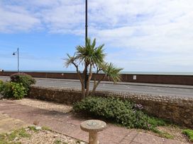 A view of palm trees and flowering plants near the seaside wall at 2 Lyme Mews Seaton