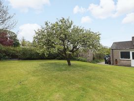 A garden with a tree and grass at Campden Rennington near Embleton