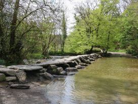 A stream with stepping stones in a wooded area at Pete's Place in Taunton