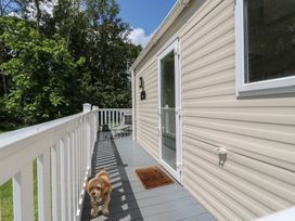 A deck with a dog and chair at Forest Retreat - FO26 in Saxmundham