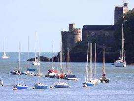 Sailboats in water near a castle in Dartmouth