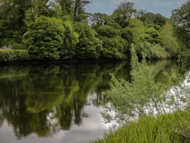 A river surrounded by trees and plants at River House in 