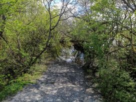 A path leading to water with trees and bushes at Cahir Cottage Ballinrobe, County Mayo